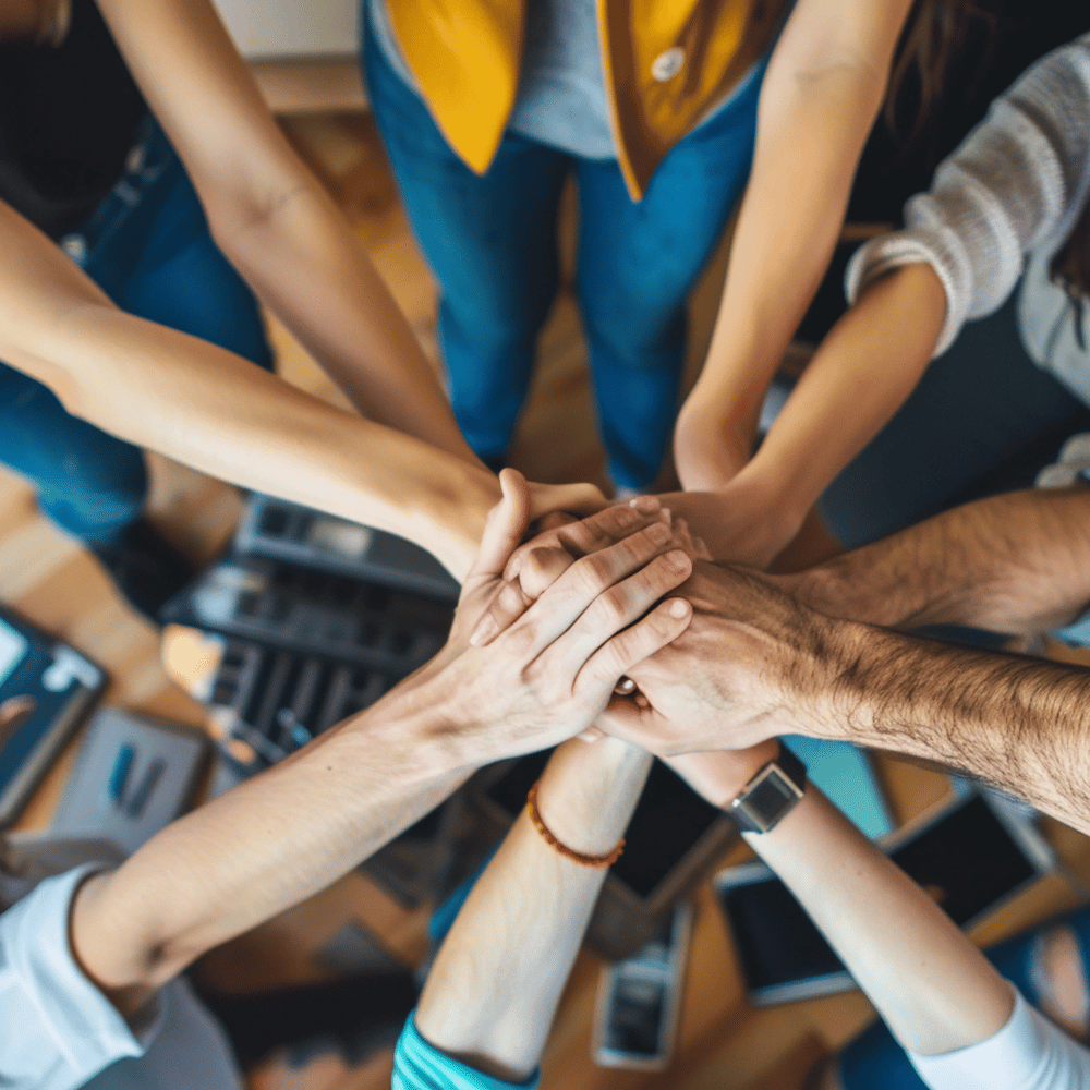 Social Impact & Community Engagement